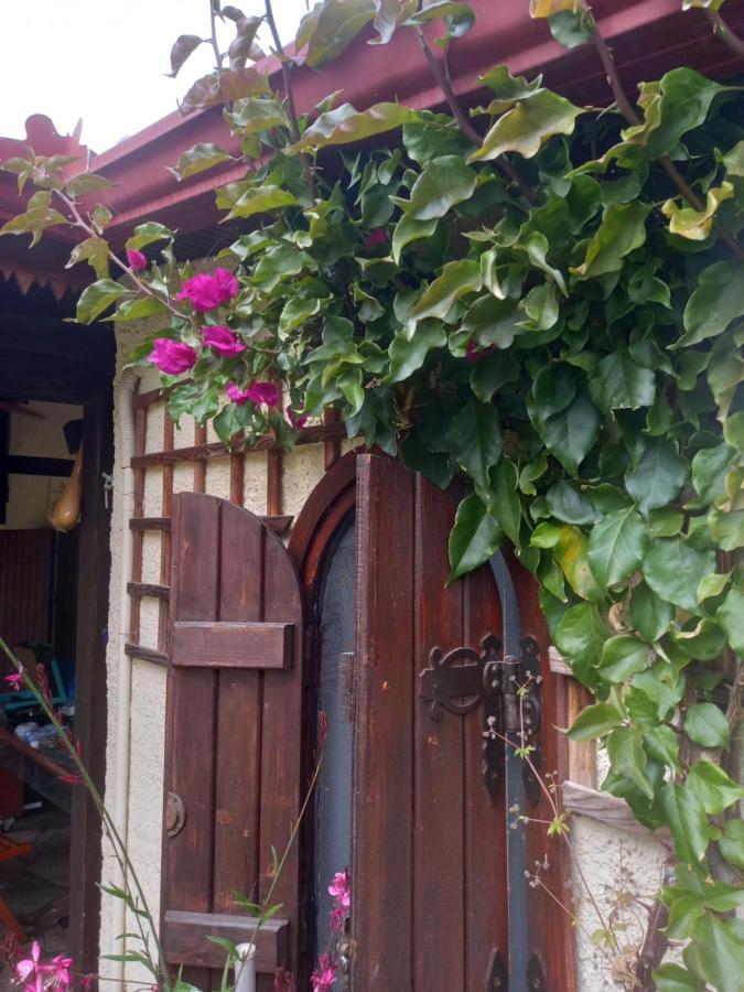 Sunday 2Br Welcome Stay Private Holiday House In Chalkidiki - Close To Karydi Beach ブアブロウ エクステリア 写真